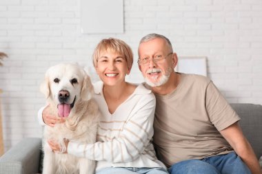 Evde koltukta oturan Labrador köpeği olan olgun bir çift.