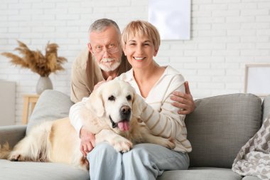 Evde koltukta oturan Labrador köpeği olan olgun bir çift.