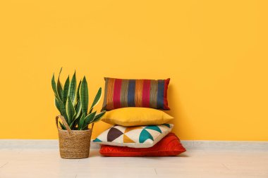 Yastık ve bitki yığını, sarı duvarın yanında.