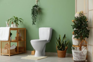 Tuvaletin içinde klozet, raf üniteleri ve yeşil duvarın yanında bitkiler var.