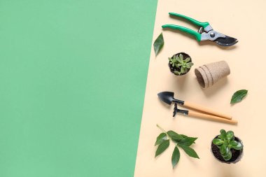 Renkli arka planda kürek, tırmık ve budama aletleri. Üst görünüm