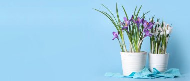 Açık mavi arkaplanda çiçek açan çömlek ve metin için boşluk
