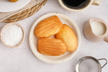 Hafif arkaplanda Madeleine kurabiyeleri olan kompozisyon