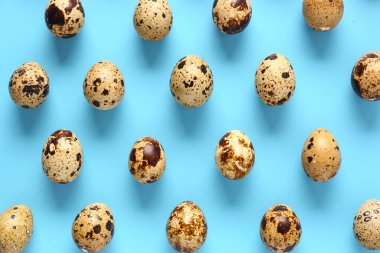 Mavi arka planda taze bıldırcın yumurtaları