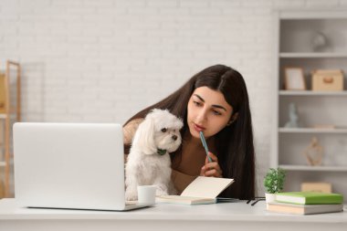 Beyaz Bolonez köpeğiyle birlikte iş yerinde laptopuyla oturan genç bir kadın.
