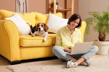 Evde yerde dizüstü bilgisayar kullanan Beagle köpeği olan genç bir kadın.