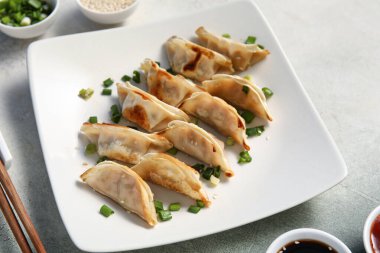 Kızarmış Japon gyoza tabağı ve grunge arkaplanda yeşil soğan.