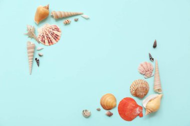 Mavi zemin üzerinde farklı deniz kabuklarından yapılmış çerçeve