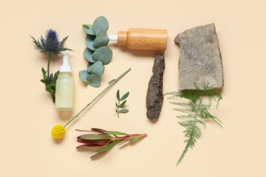 Gerekli yağ şişeleri, farklı bitkiler ve renk arkaplanlı taş bileşimi