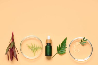 Renkli arka planda gerekli yağ, petri kapları ve bitkilerle kompozisyon