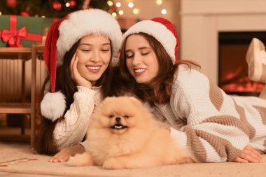 Noel arifesinde evde köpeği olan, Noel Baba şapkalı genç lezbiyen çift