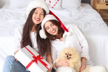 Noel arifesinde yatak odasında köpeği ve hediyesi olan genç lezbiyen çift.