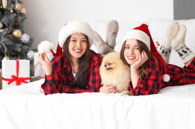 Pomeranya köpekli genç lezbiyen çift Noel arifesinde yatak odasında yatıyor.
