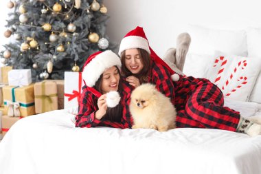 Pomeranya köpekli genç lezbiyen çift Noel arifesinde yatak odasında yatıyor.