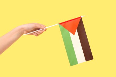 Sarı arka planda Filistin bayrağı olan bir kadın el.