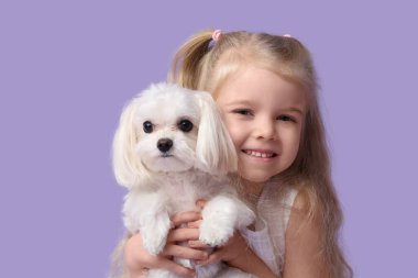 Leylak arka planında sevimli bir Malta köpeği olan mutlu küçük kız.