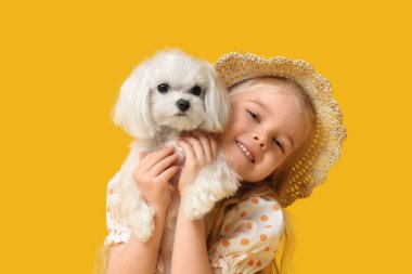 Sarı arka planda Maltese köpeği olan sevimli küçük bir kız.