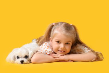 Sarı arka planda Maltese köpeği olan tatlı küçük kız.