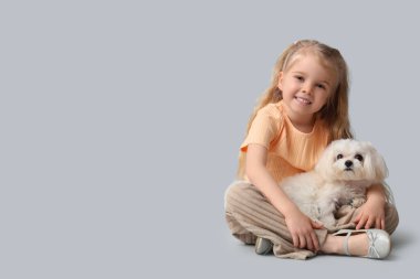 Maltese köpeği olan mutlu küçük kız gri arka planda oturuyor.