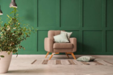 Yastıklı koltuk ve yeşil duvarın yanındaki ev bitkisi.