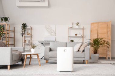 Modern nemlendirici ve gri kanepe şık bir oturma odasında.