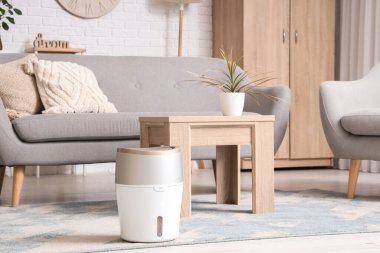 Oturma odasındaki halının üzerinde hava nemlendirici.