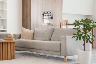 Gri kanepeli modern mutfağın içi.