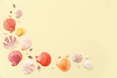 Bej arka planda birçok farklı deniz kabuğu