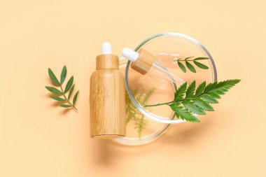 Renkli arka planda gerekli yağ, petri kabı ve bitki yapraklarıyla bileşim