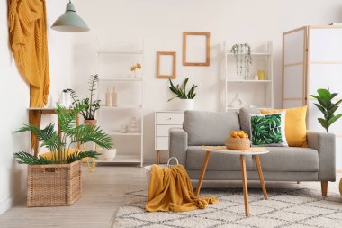 Oturma odasındaki kahve masasında rahat bir kanepe ve kayısı sepeti