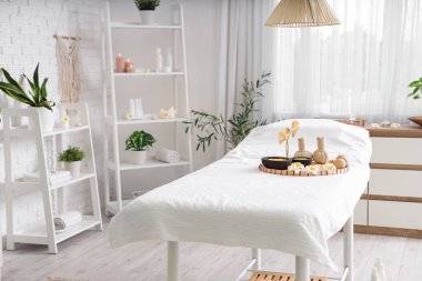 Masaj koltuğu, raf ünitesi ve bitkileri olan bir kaplıca salonu.