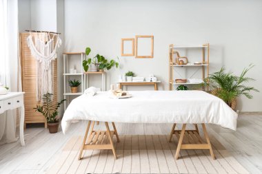 Masaj koltuğu, raf ünitesi ve bitkileri olan bir kaplıca salonu.