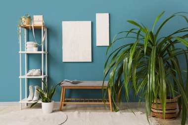 Çiçekler, yumuşak bank ve mavi duvarın yanındaki askılar.