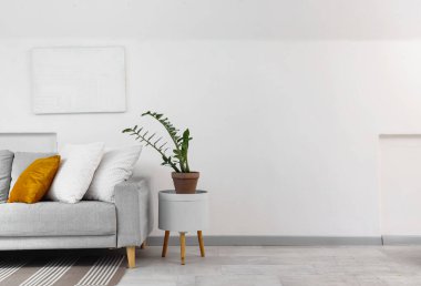 Gri kanepe ve bitkilerle aydınlık oturma odasının içinde.