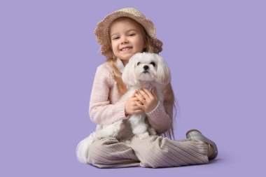 Maltese köpekli mutlu küçük kız leylak arka planda oturuyor.