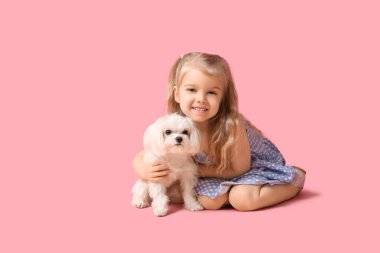 Maltese köpeğiyle pembe arka planda oturan tatlı küçük kız.