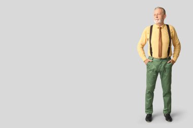 Gri arka planda şık kravatı olan yakışıklı, mutlu, olgun bir adam.