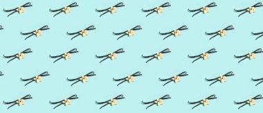 Açık mavi arkaplanda bir sürü vanilya çubuğu var. Tasarım için desen