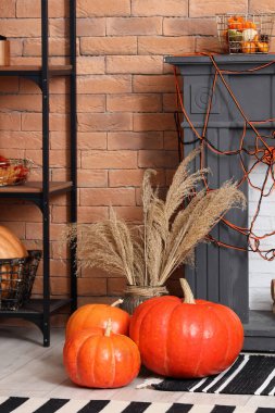 Çimenli vazolar ve oturma odasında Cadılar Bayramı balkabakları.