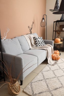 Cadılar Bayramı için kanepe ve balkabaklarıyla dekore edilmiş oturma odasının içi.