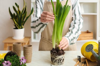 Masada farklı bitki ve aletleri olan kadın bahçıvan.