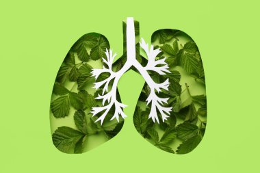 Kağıt, renkli arka planda yapraklarla ciğerleri kesiyor.