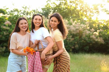 Park 'ta piknik sepeti olan bayan arkadaşlar