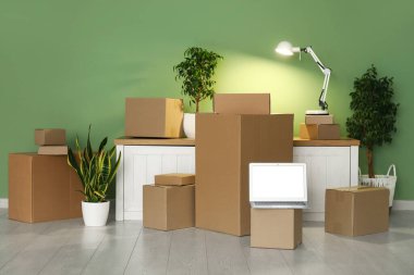 Boş dizüstü bilgisayar, taşınan kutular, bitkiler ve yeşil duvarın yanında parlayan lamba.