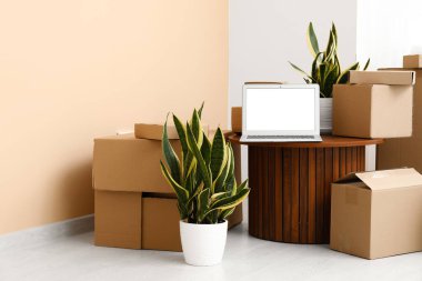 Boş dizüstü bilgisayar. Odada kutular ve bitkiler var.