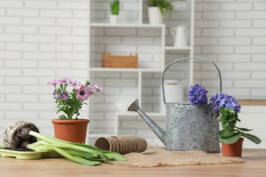 Farklı bitkiler, turba kapları ve ahşap masa üzerindeki sulama konserveleri.