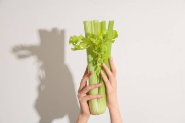 Beyaz arka planda taze yeşil kereviz demeti olan kadın elleri.