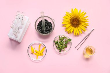 Pembe arka planda ayçiçeği, tohum, yağ ve lahanalı test tüpleri