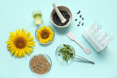 Mavi arka planda ayçiçekleri, tohumları ve lahanaları olan profesyonel laboratuvar araçları