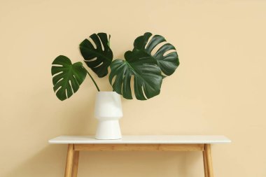 Bej duvarın yanındaki masada canavar yaprakları olan vazo.